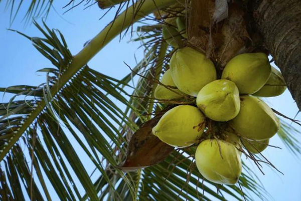 ��������(�й�����)�ٷ���վ