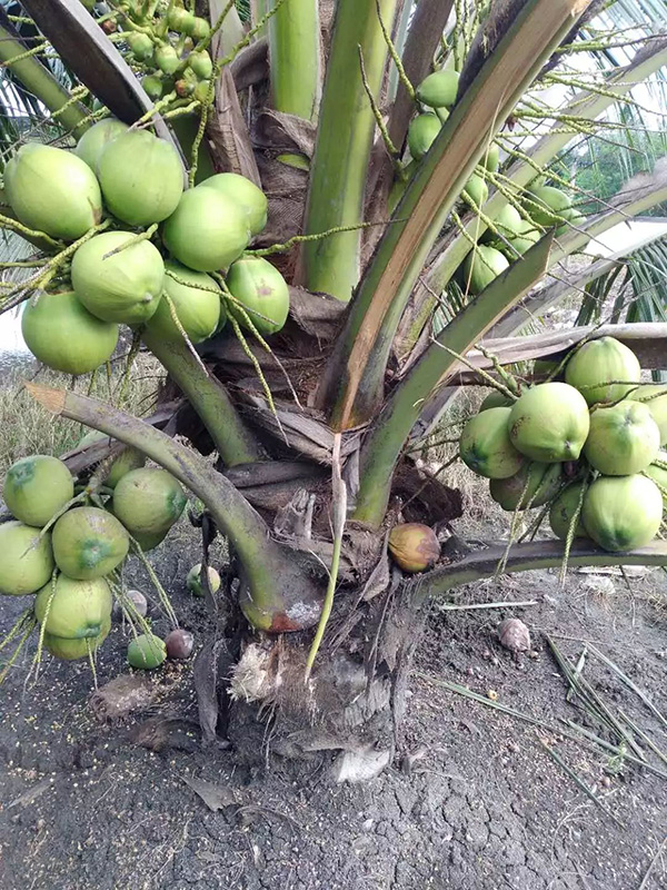 1-11 博世体育(中国集团)官方网站