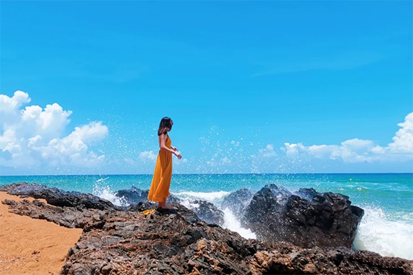 ��������(�й�����)�ٷ���վ