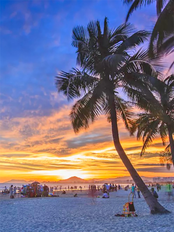 ��������(�й�����)�ٷ���վ