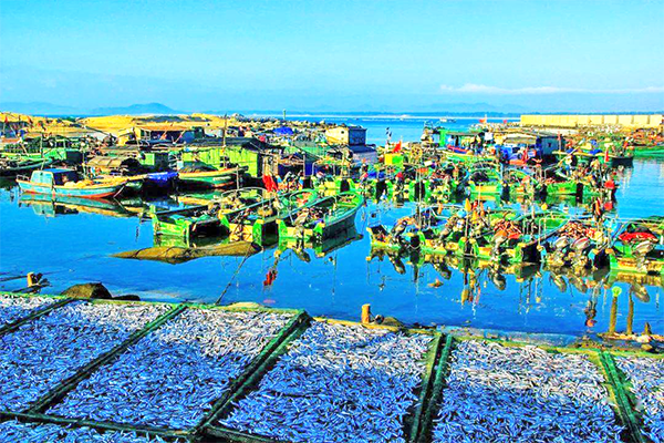 ��������(�й�����)�ٷ���վ