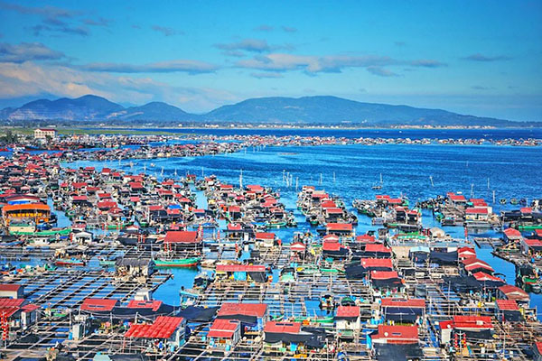 ��������(�й�����)�ٷ���վ