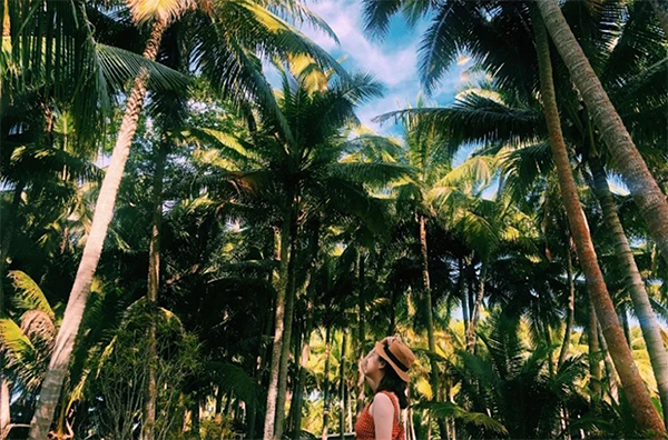 ��������(�й�����)�ٷ���վ