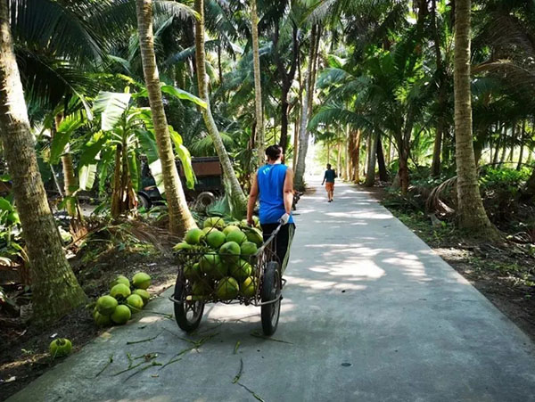 ��������(�й�����)�ٷ���վ