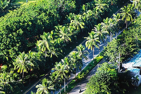 3-9 博世体育(中国集团)官方网站