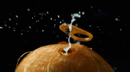 ��������(�й�����)�ٷ���վ