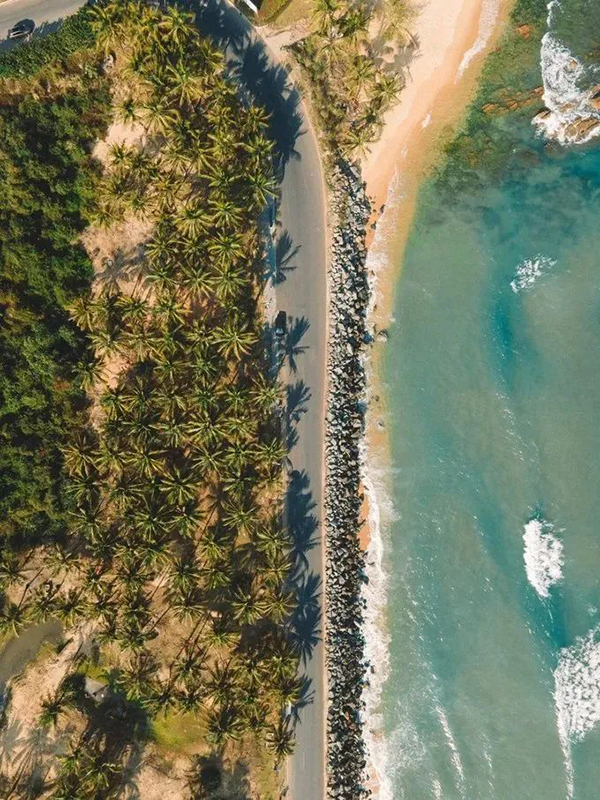 9-3 ²©ÊÀÌåÓý(Öйú¼¯ÍÅ)¹Ù·½ÍøÕ¾