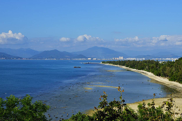 hainan-techan-bimai_1