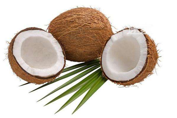 海南特产制品：：：椰子制品