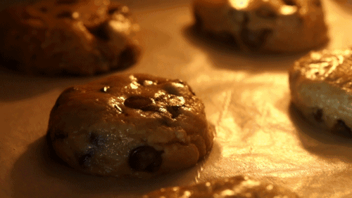 yishigan-2 yishigan-2