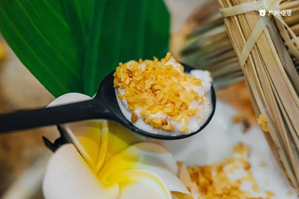 ��������(�й�����)�ٷ���վ