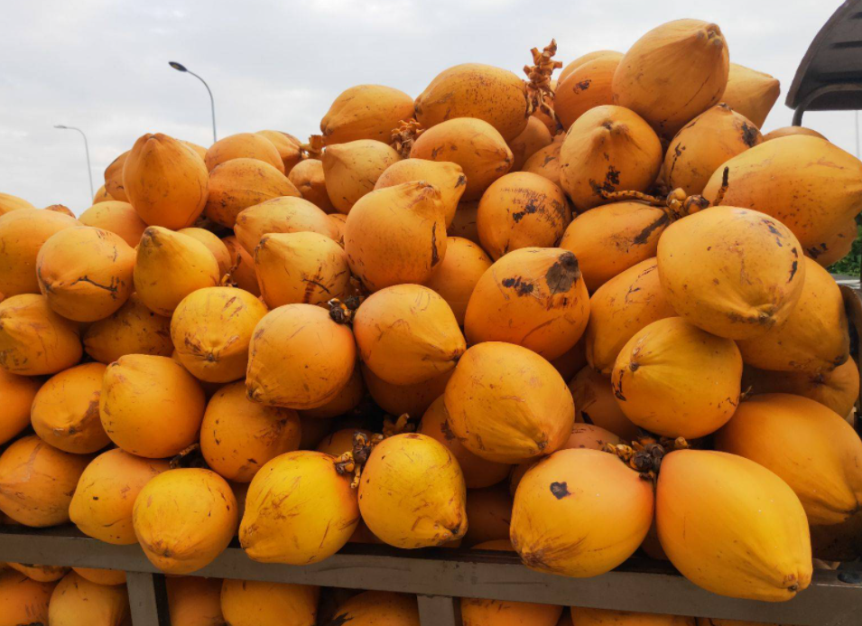 微信截图_20230710110712-1