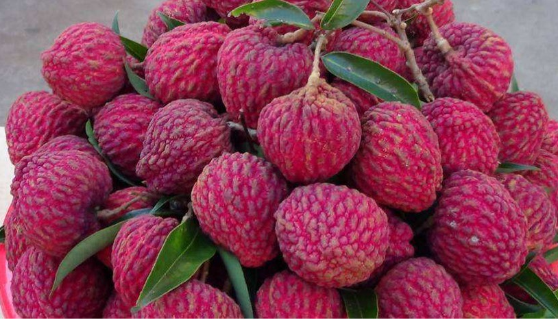 博世体育(中国集团)官方网站